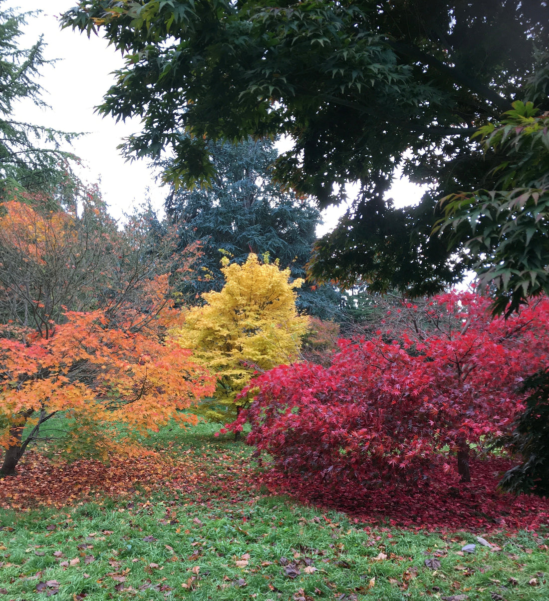 Switch to Rich: Why Your Skin Needs a Winter Wardrobe Too