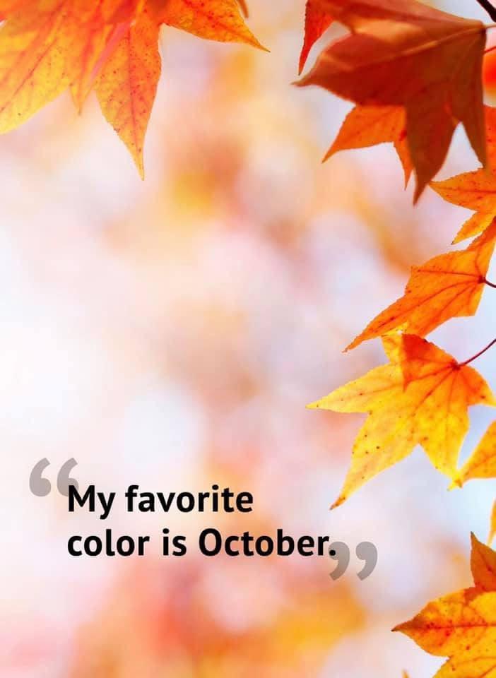 Skin Transformations: Why Autumn Is the Perfect Time to Reset Your Skincare